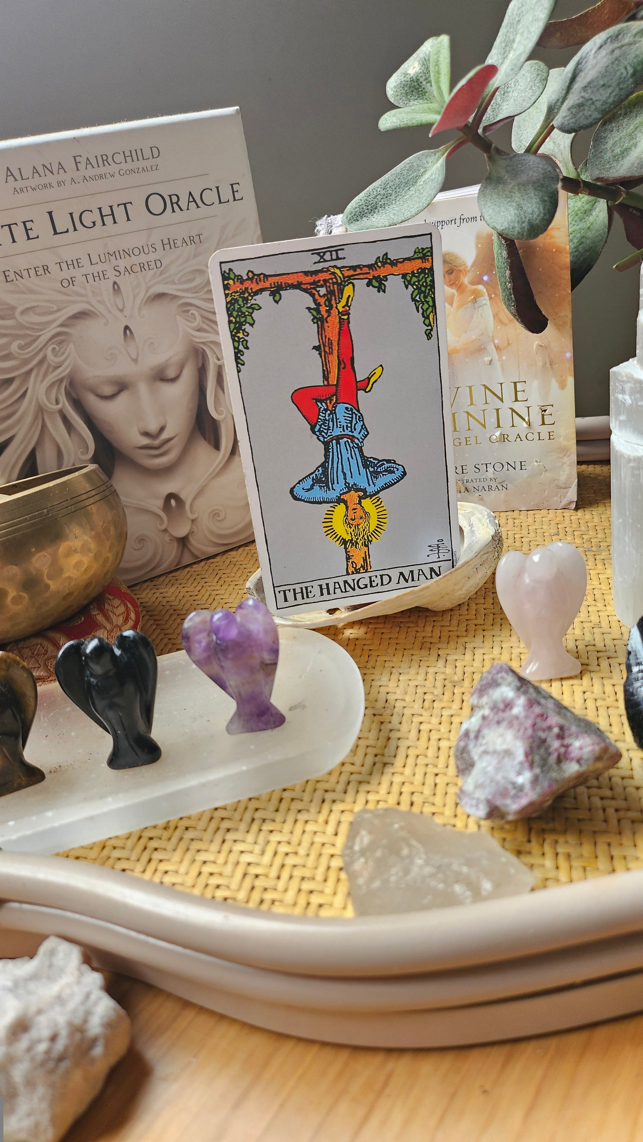 ⚔️ The “Sovereignty” Check (Express)